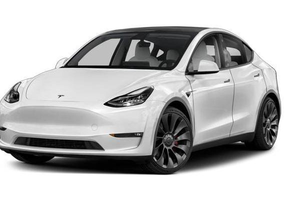 TESLA MODEL Y 2021 5YJYGDEE2MF224551 image